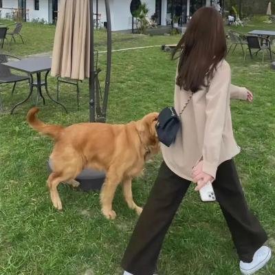 阴阳路十六之回到武侠时代